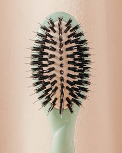 Édition Limitée Bleu Lagon N.02 La Micro Brosse Démêlante & Soin l'Indispensable