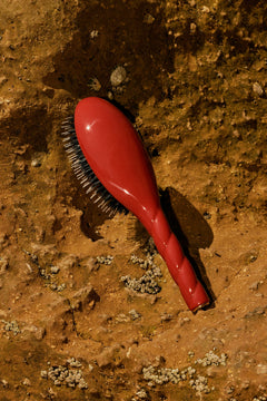 N.02 La Petite Brosse Démêlante & Soin l'Indispensable Terre Battue