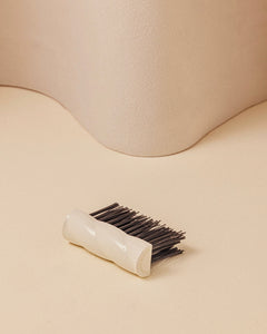 La brosse de nettoyage