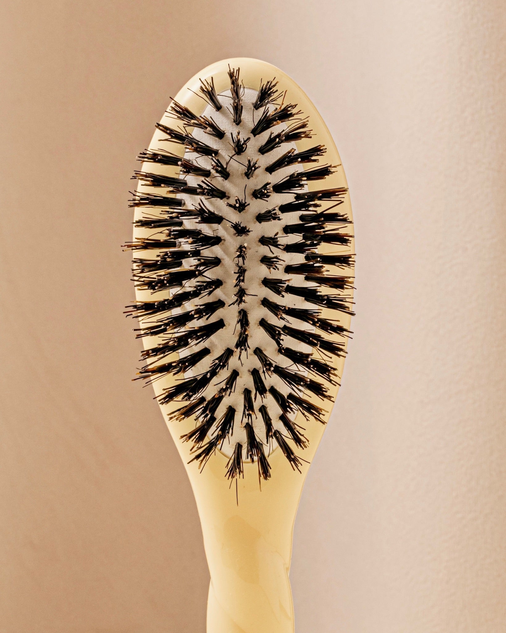 N.01 La Petite Brosse Brillance & Soin l’Universelle Ivoire Cair