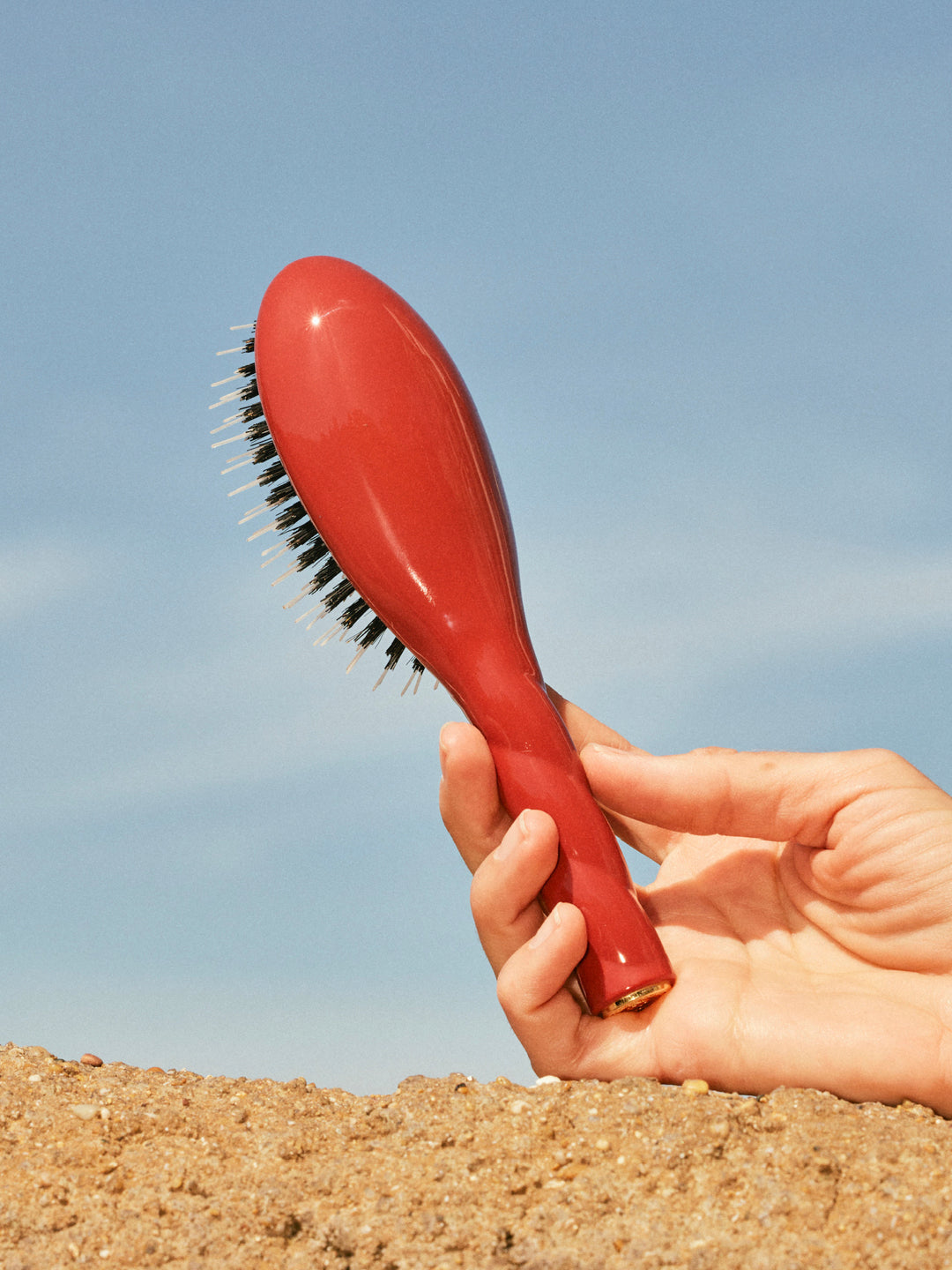 N.02 La Petite Brosse Démêlante & Soin l'Indispensable Terre Battue