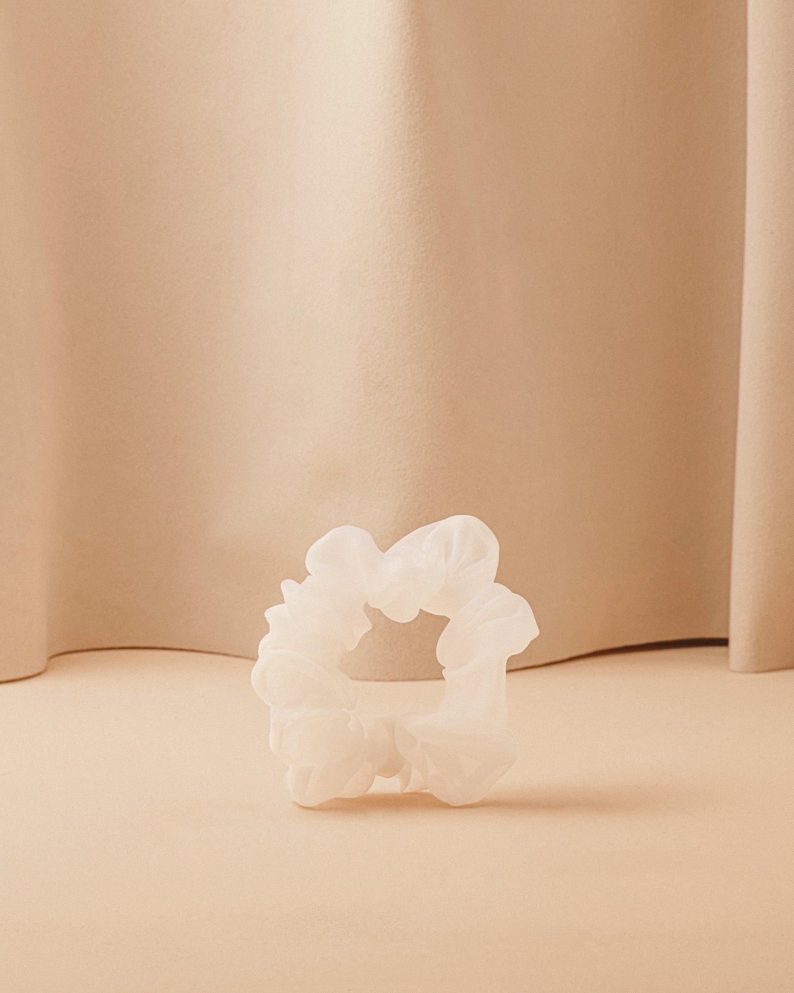 Donatelle Godart x La Bonne Brosse Le Petit Chouchou Organza